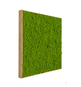 Quadratisches Moosbild Flechte